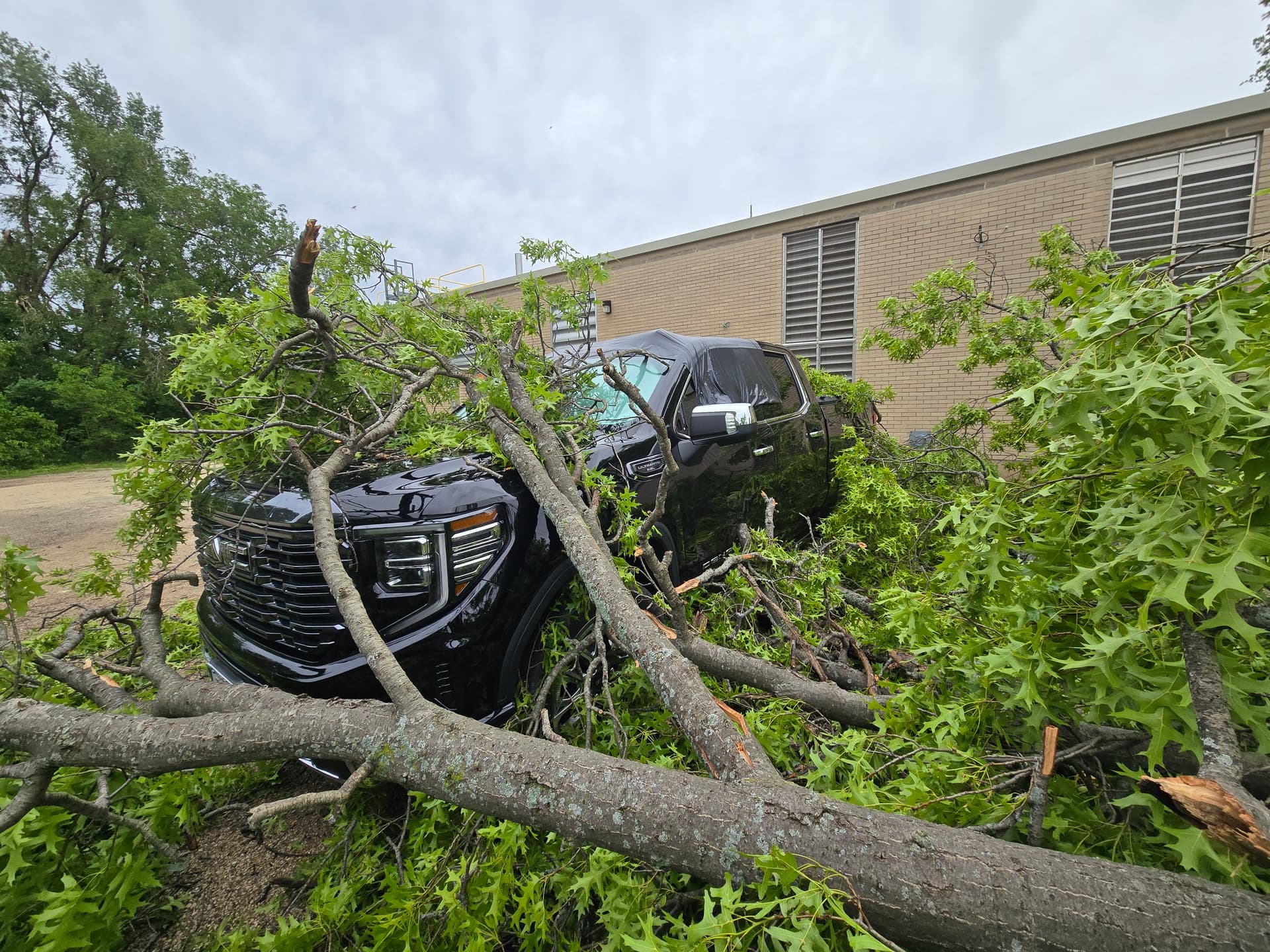 Gallery photos for Storm Damage Tree Removal Done Fast and Done Right: Image #1