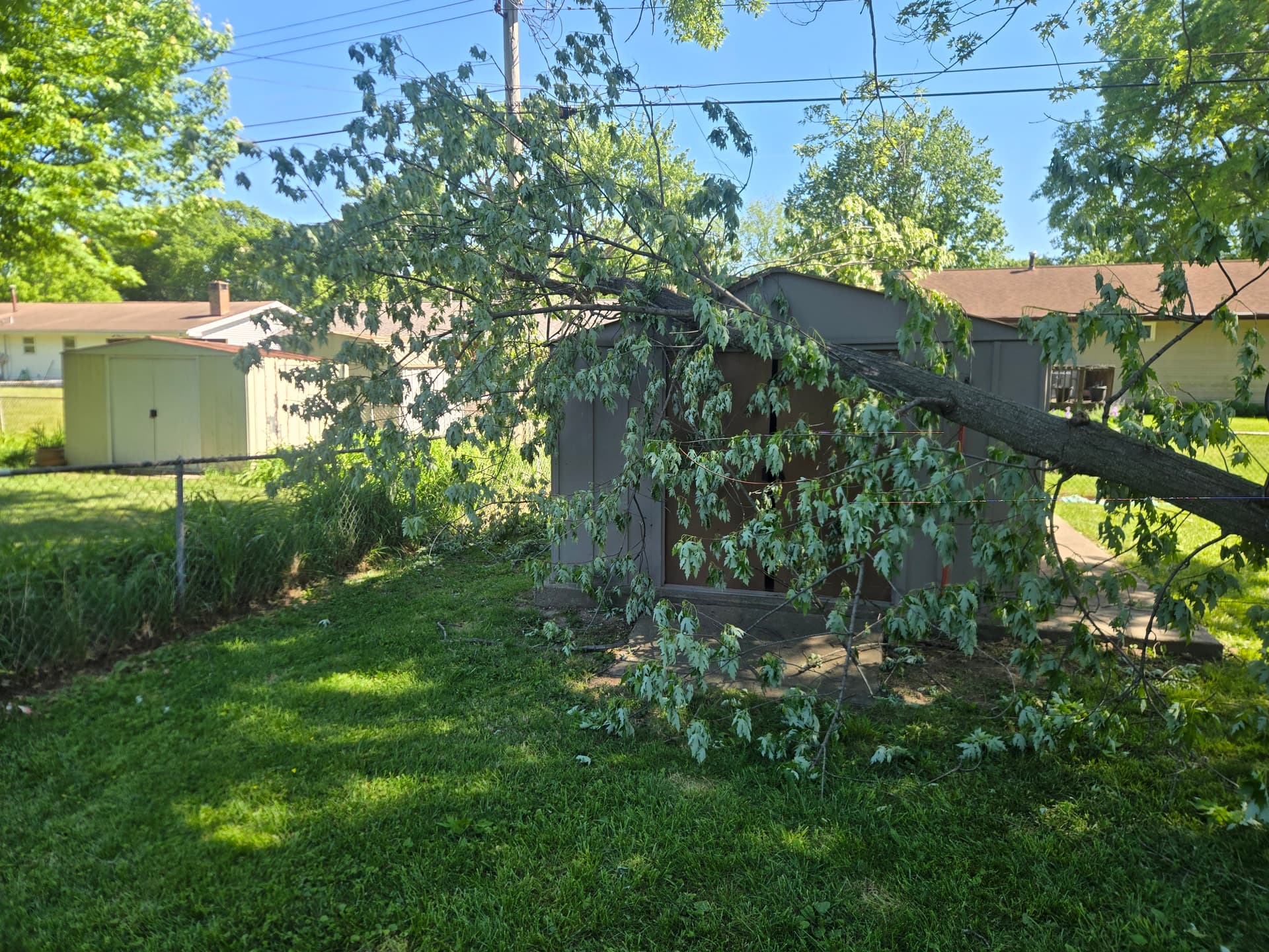 Storm Damage Tree Removal That Stopped the Damage From Getting Worse image