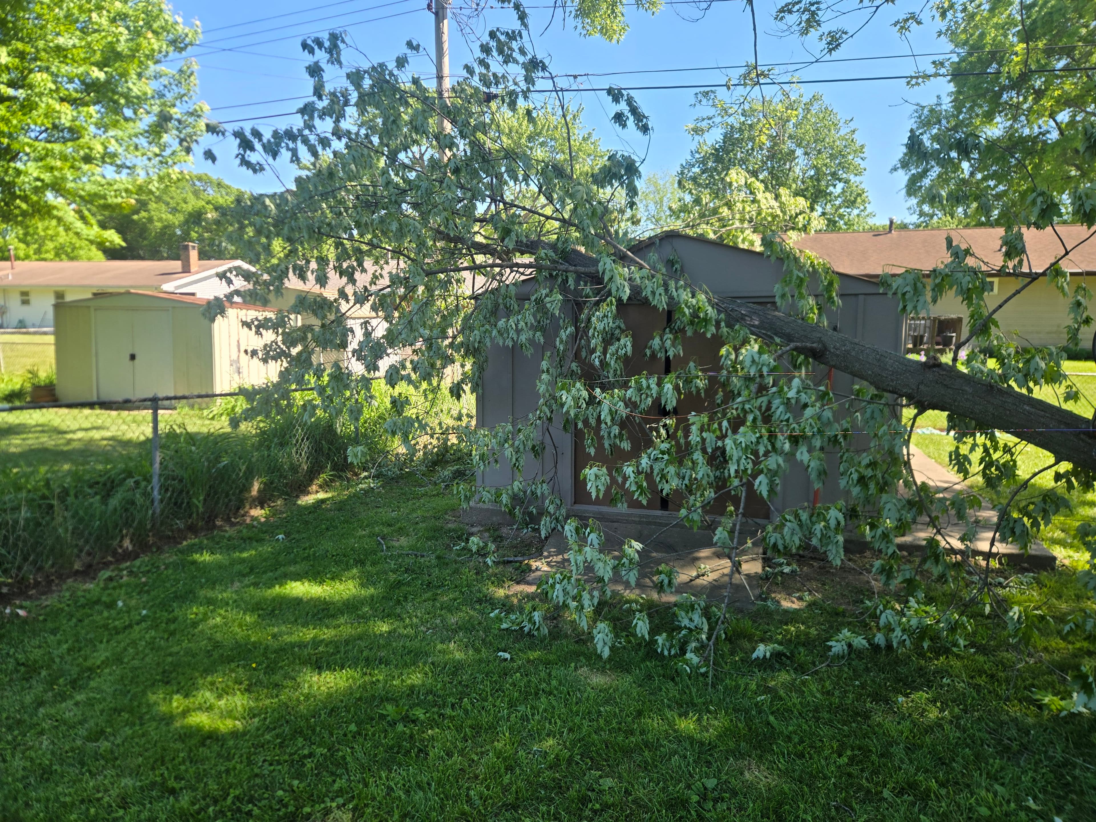 Project Storm Damage Tree Removal That Stopped the Damage From Getting Worse image