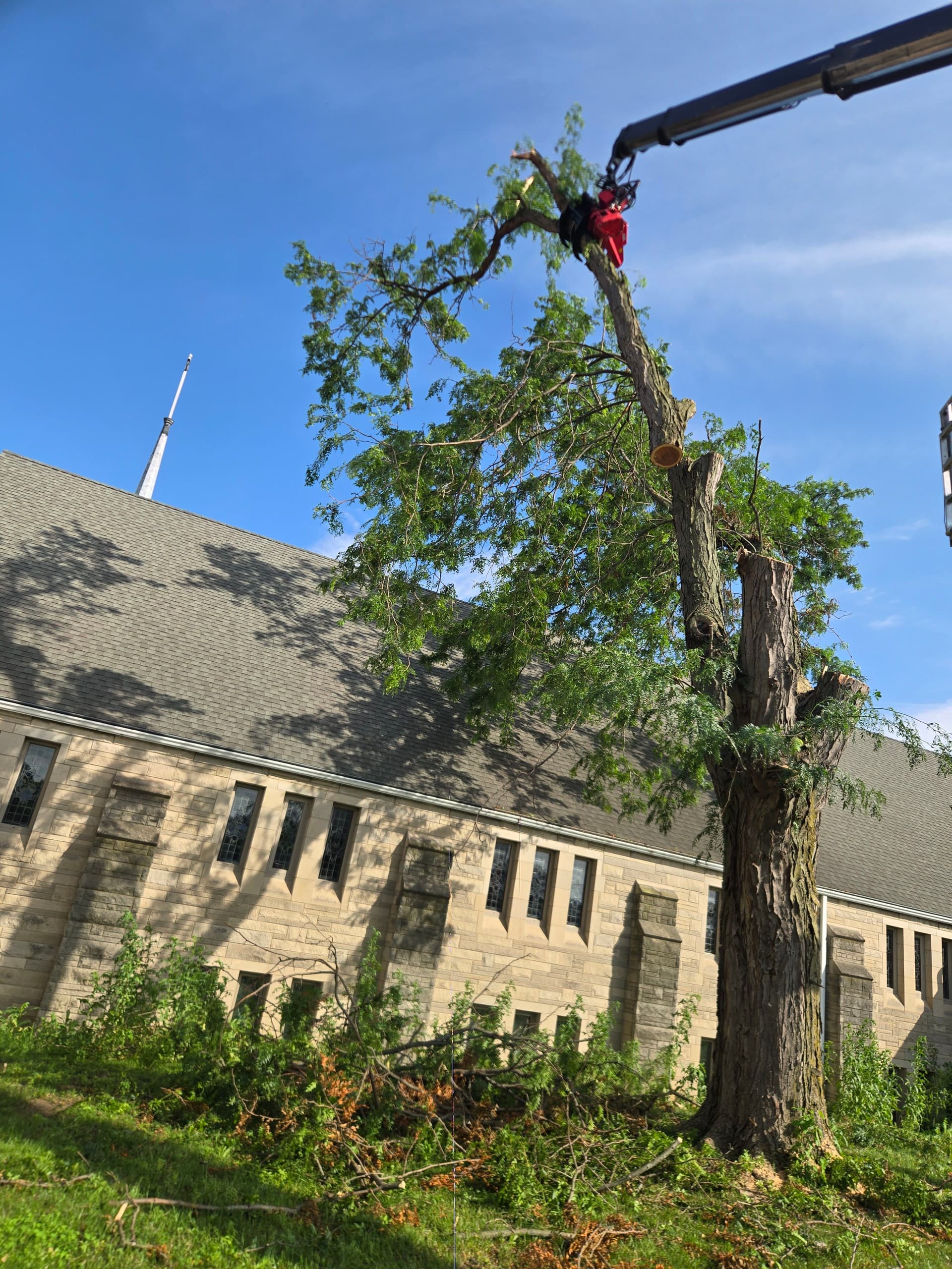 Crane-Assisted Tree Removal Right Next to a Stone Building image