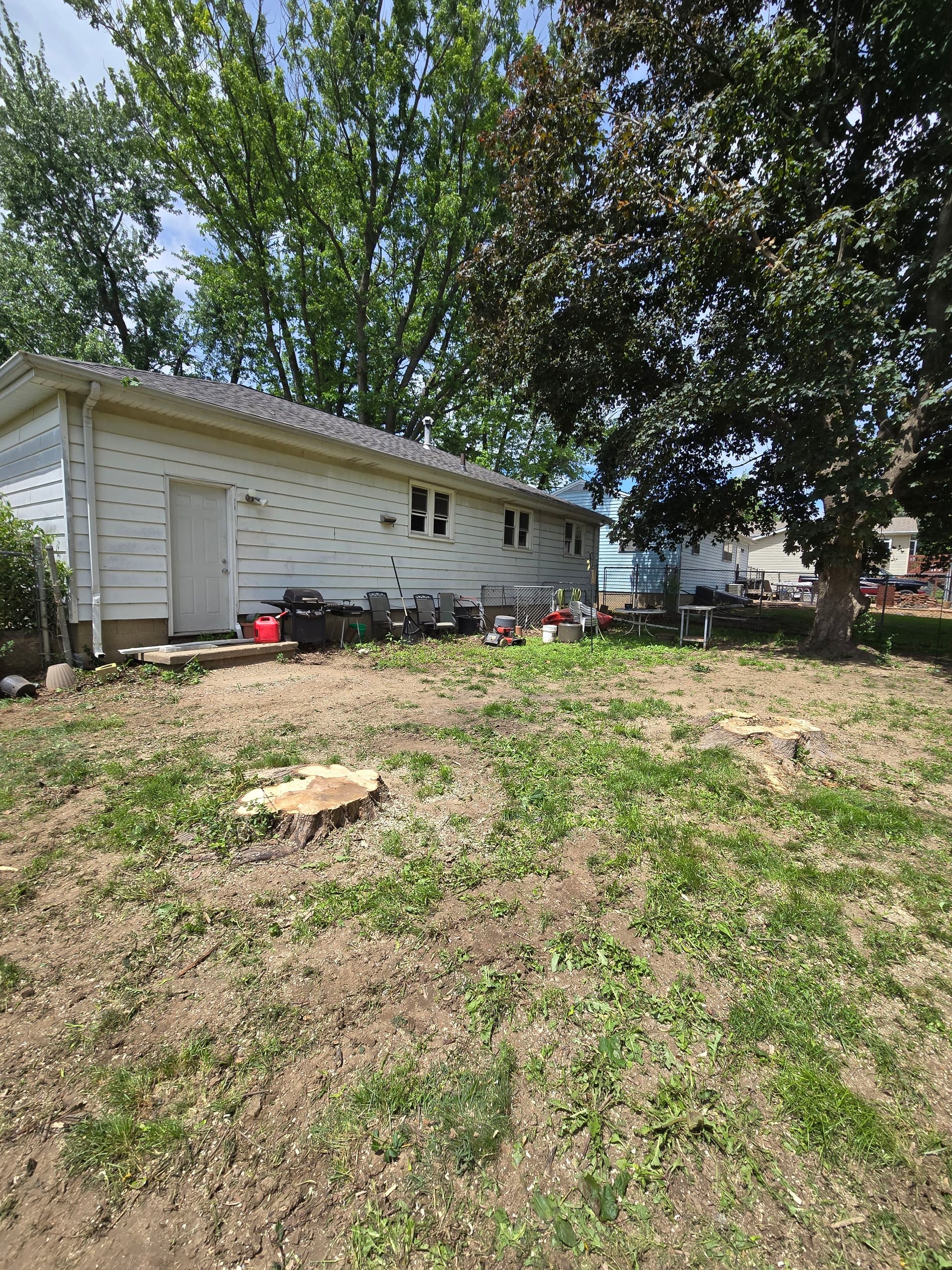 Gallery photos for Storm-Damaged Tree Split Down to the Trunk - Had to Go: Image #2