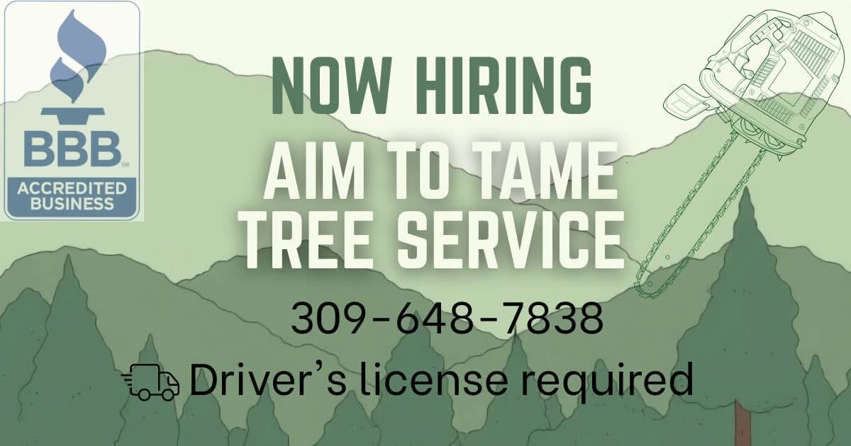 Aim to Tame Tree Service Is Hiring a Climber image
