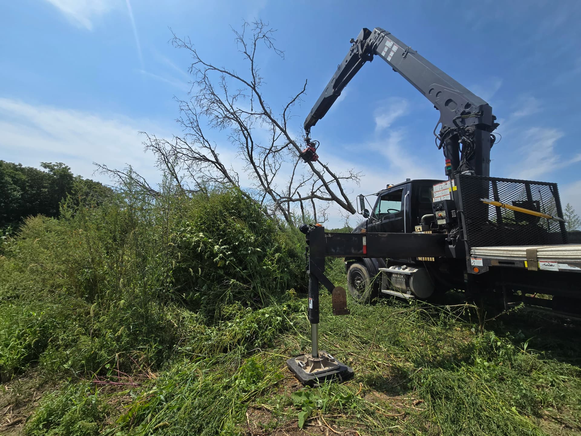 Crane-Assisted Dead Tree Removal From Heavy Overgrowth image