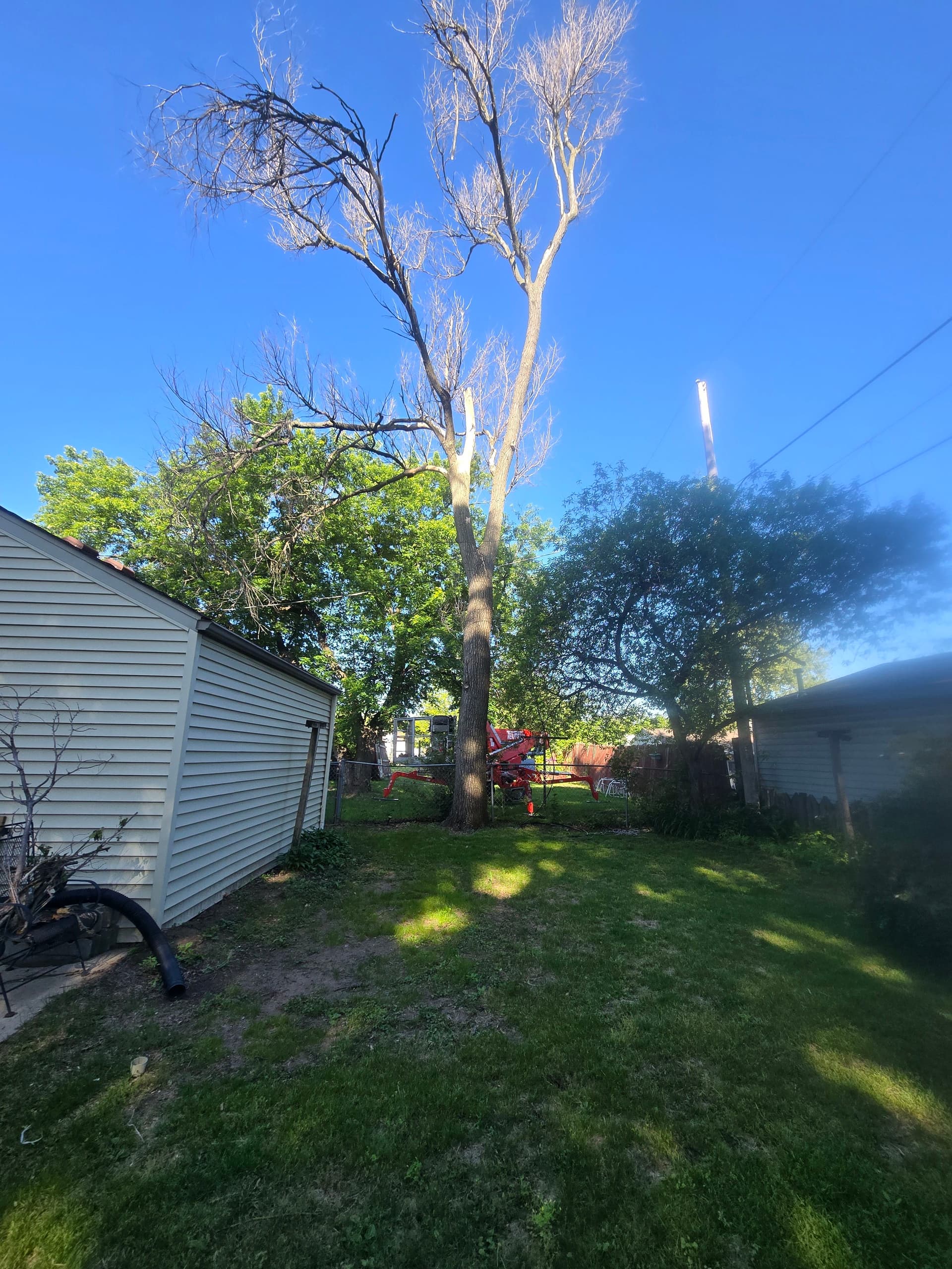 Dead Tree Over Service Lines Safely Removed image