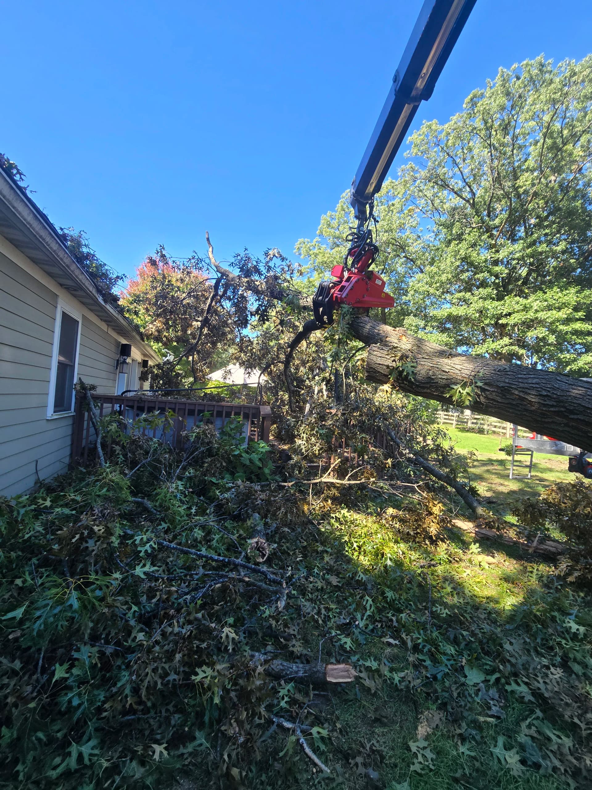 Gallery photos for Emergency Tree Removal After Storm Damage Hits Homes: Image #1