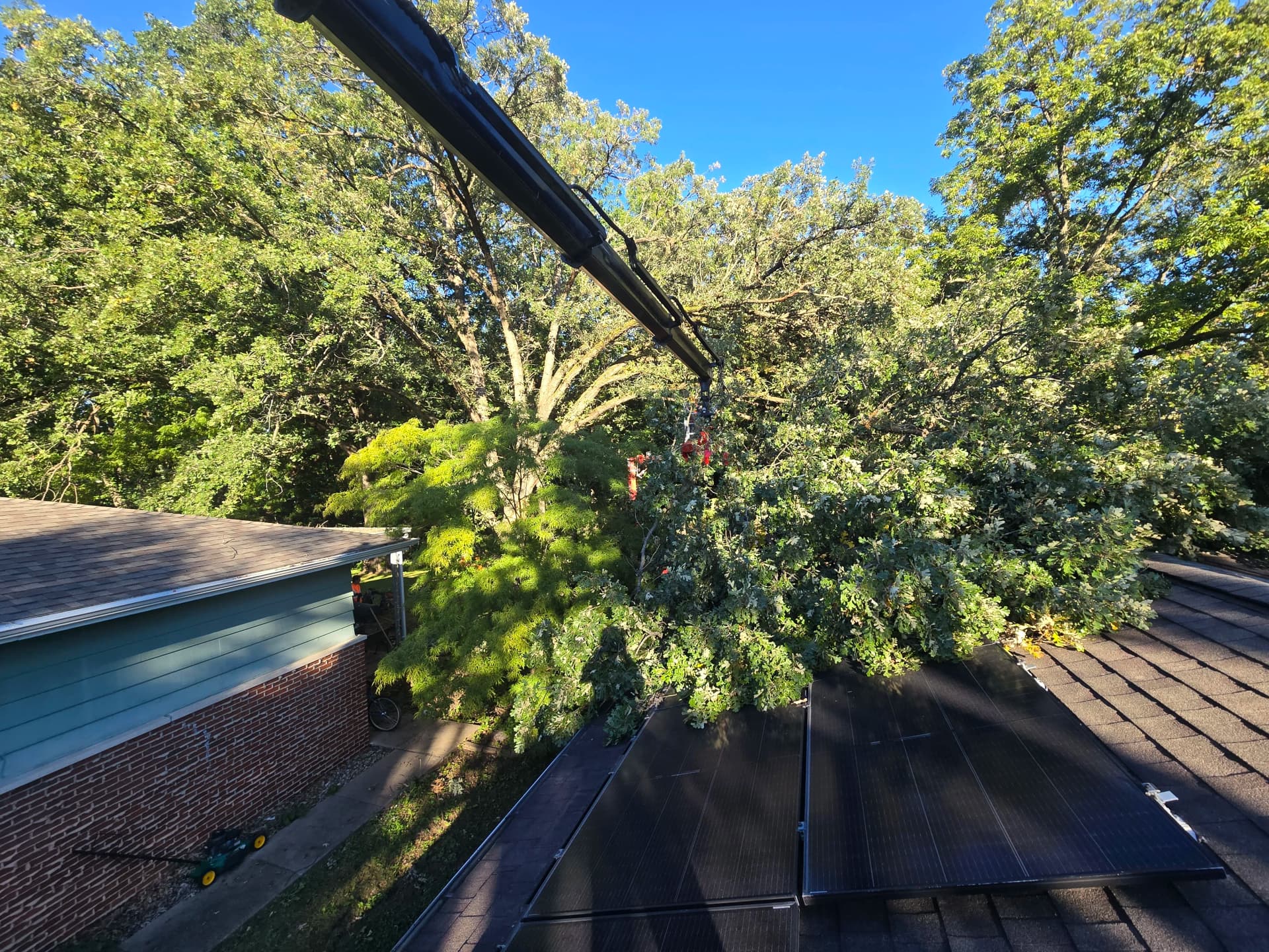 Emergency Tree Removal After Storm Damage Hits Homes image