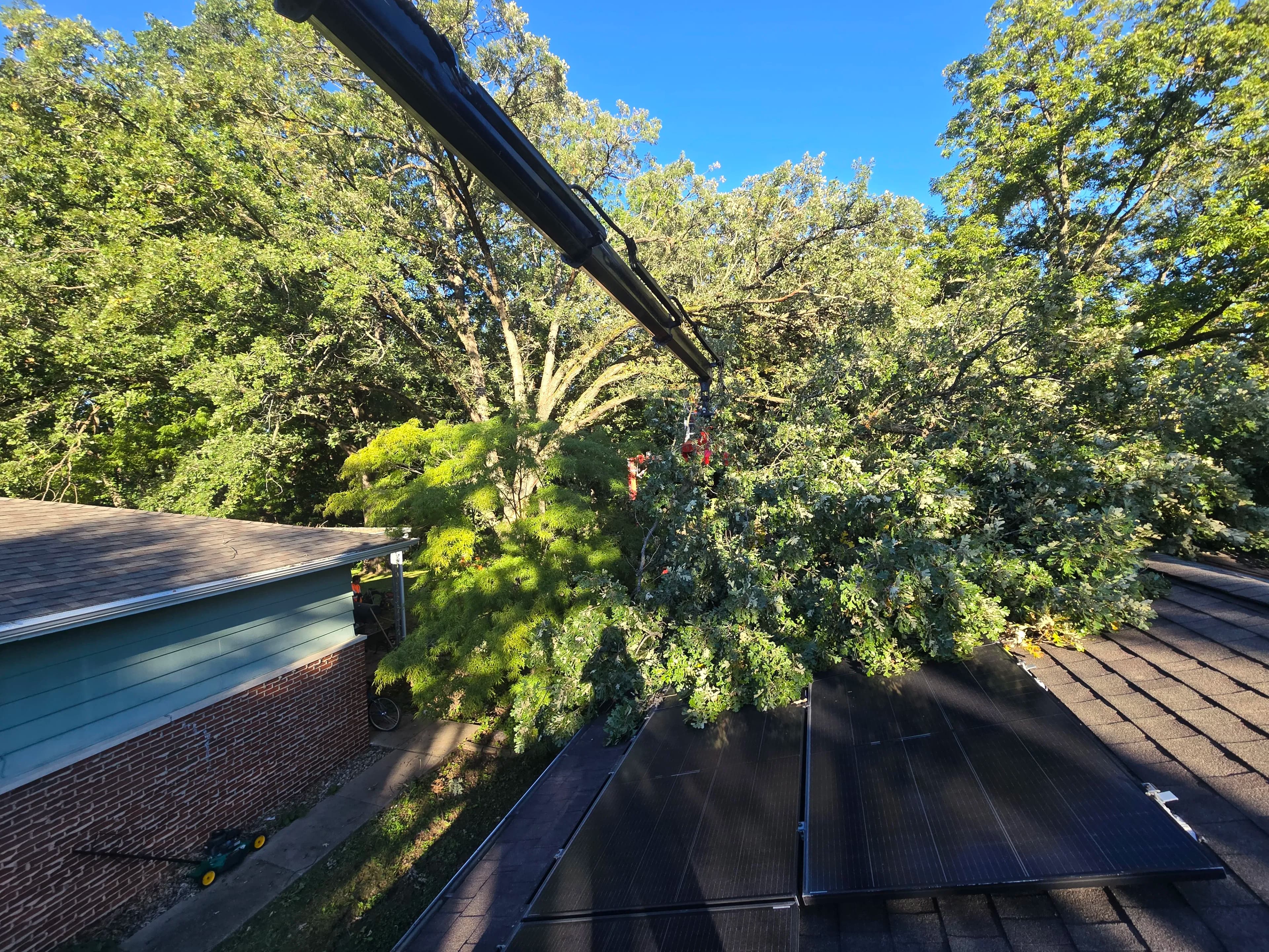 Project Emergency Tree Removal After Storm Damage Hits Homes image