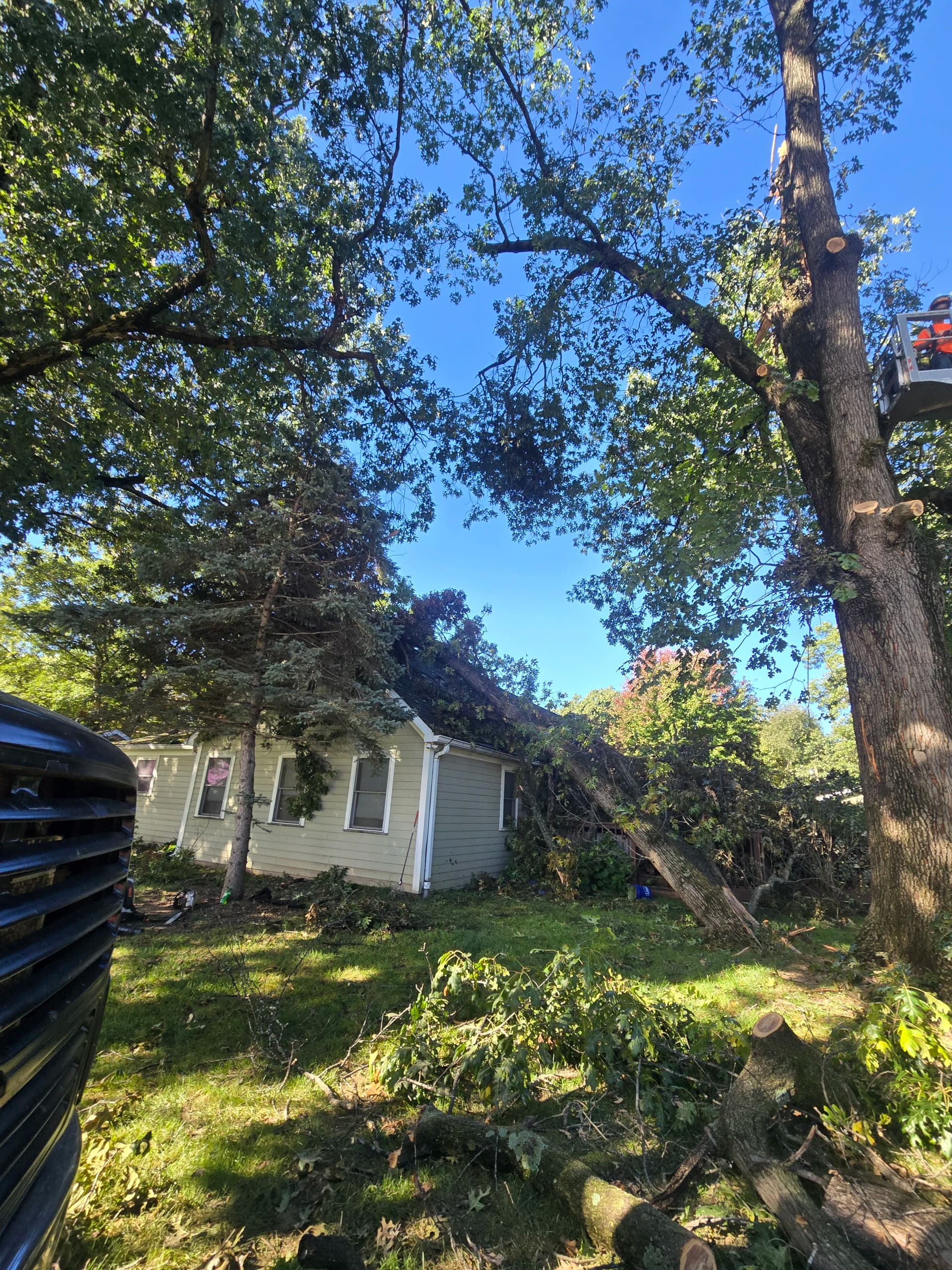 Gallery photos for Emergency Tree Removal After Storm Damage Hits Homes: Image #2