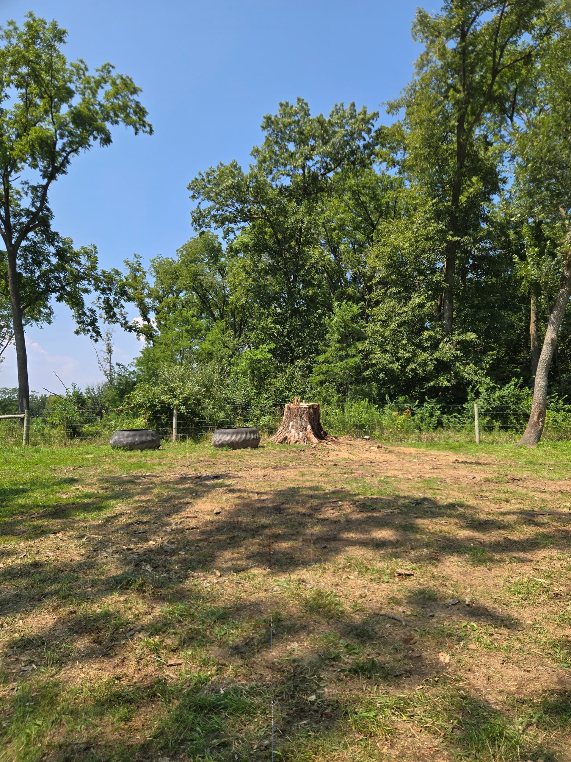 Gallery photos for Dead Oak Removal Done Right - Tree Down, Space Cleared: Image #1