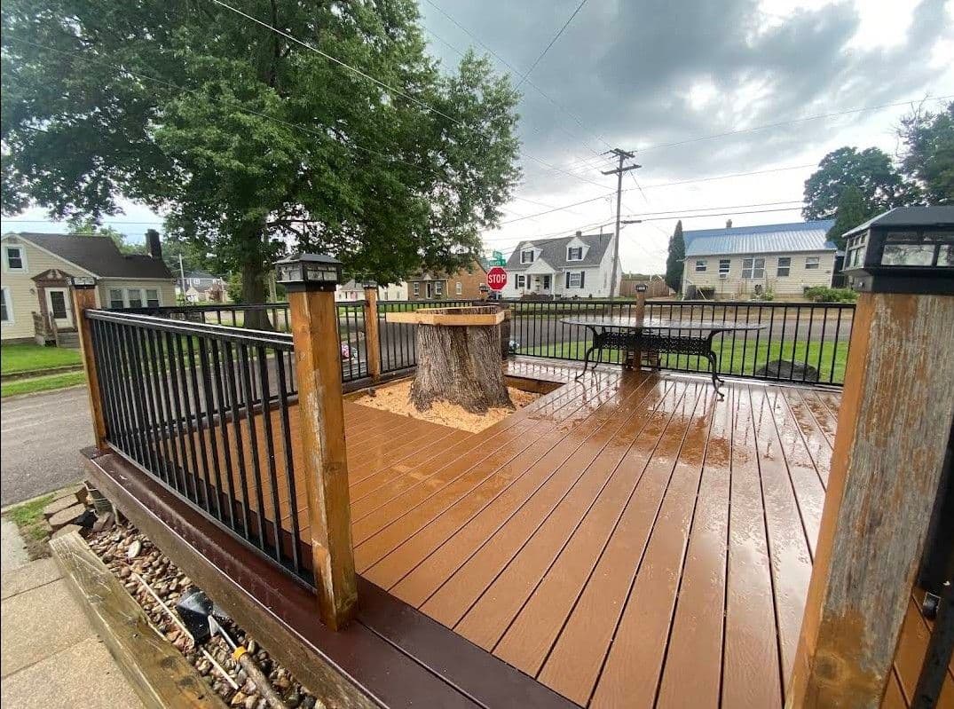 Gallery photos for Cabled Tree Growing Through a Deck - Here's How We Handled It: Image #1