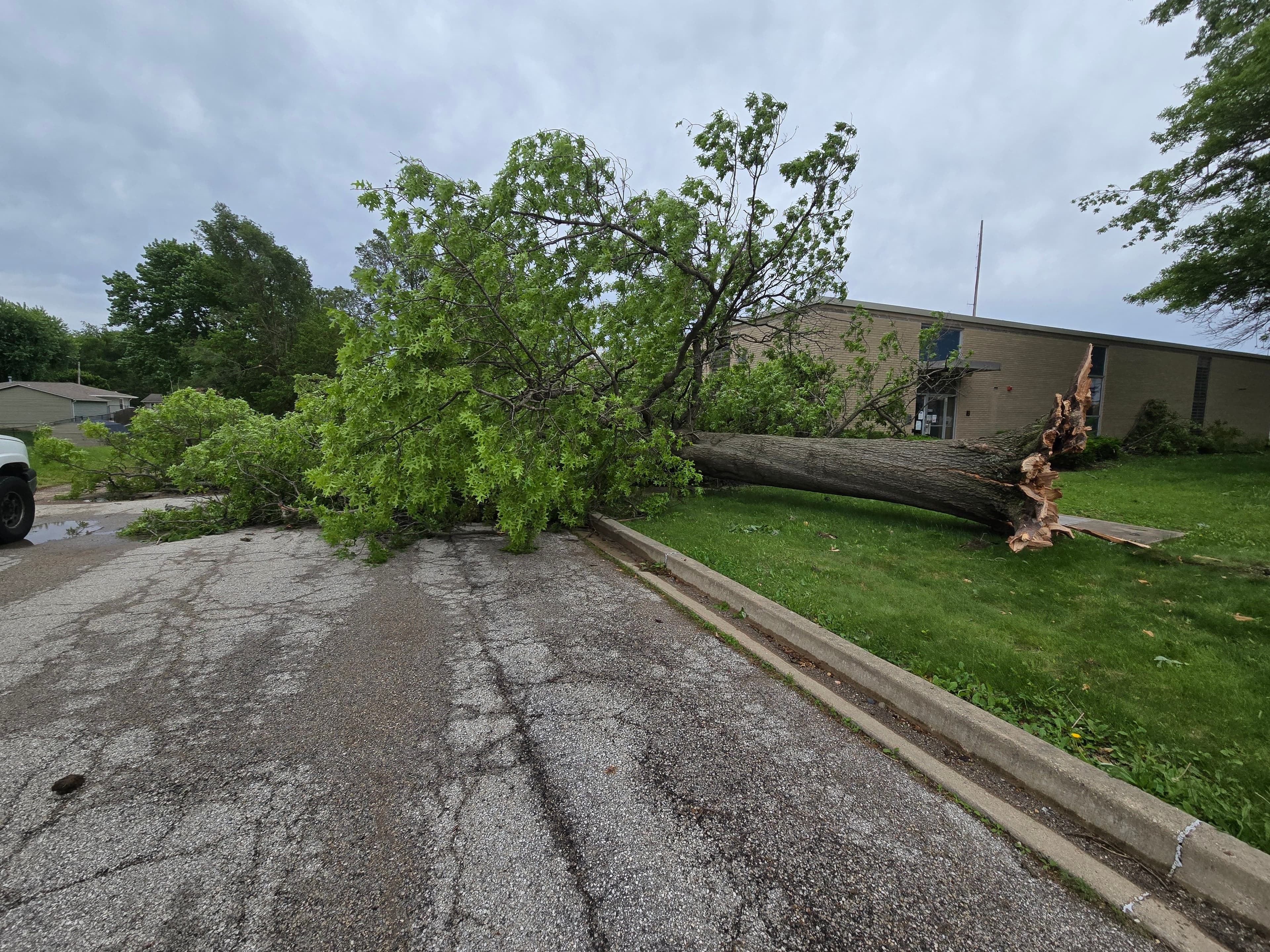 Project Storm Damage Tree Removal Done Fast and Done Right image