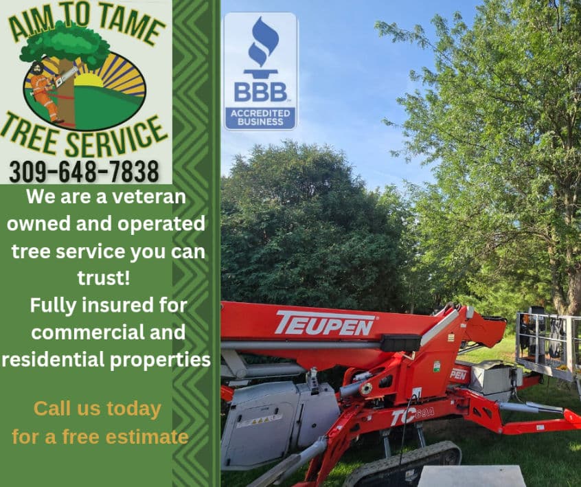 Veteran-Owned Tree Service for All Needs image