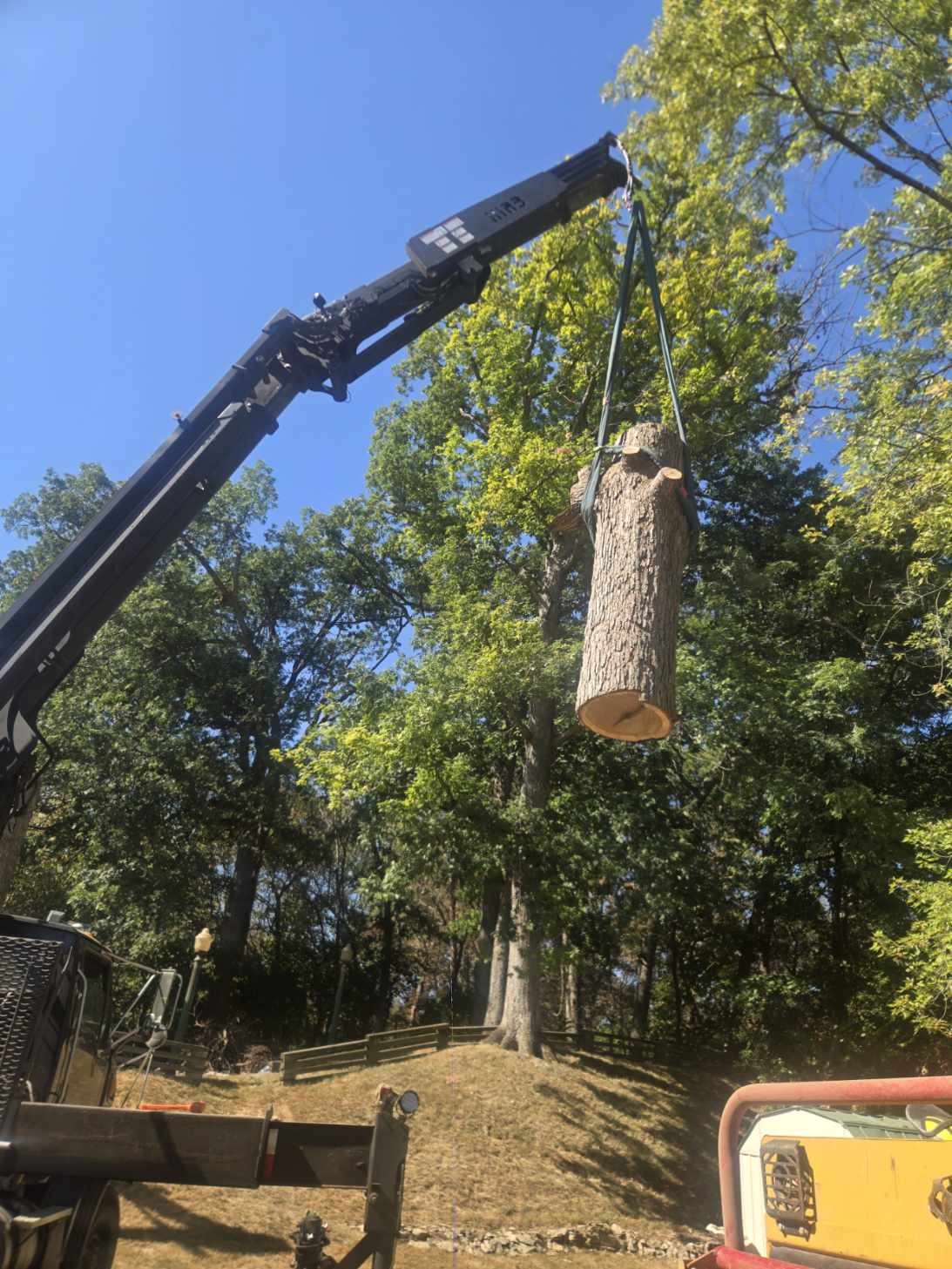 Safe and Efficient Tree Removal Using Crane and Lift image