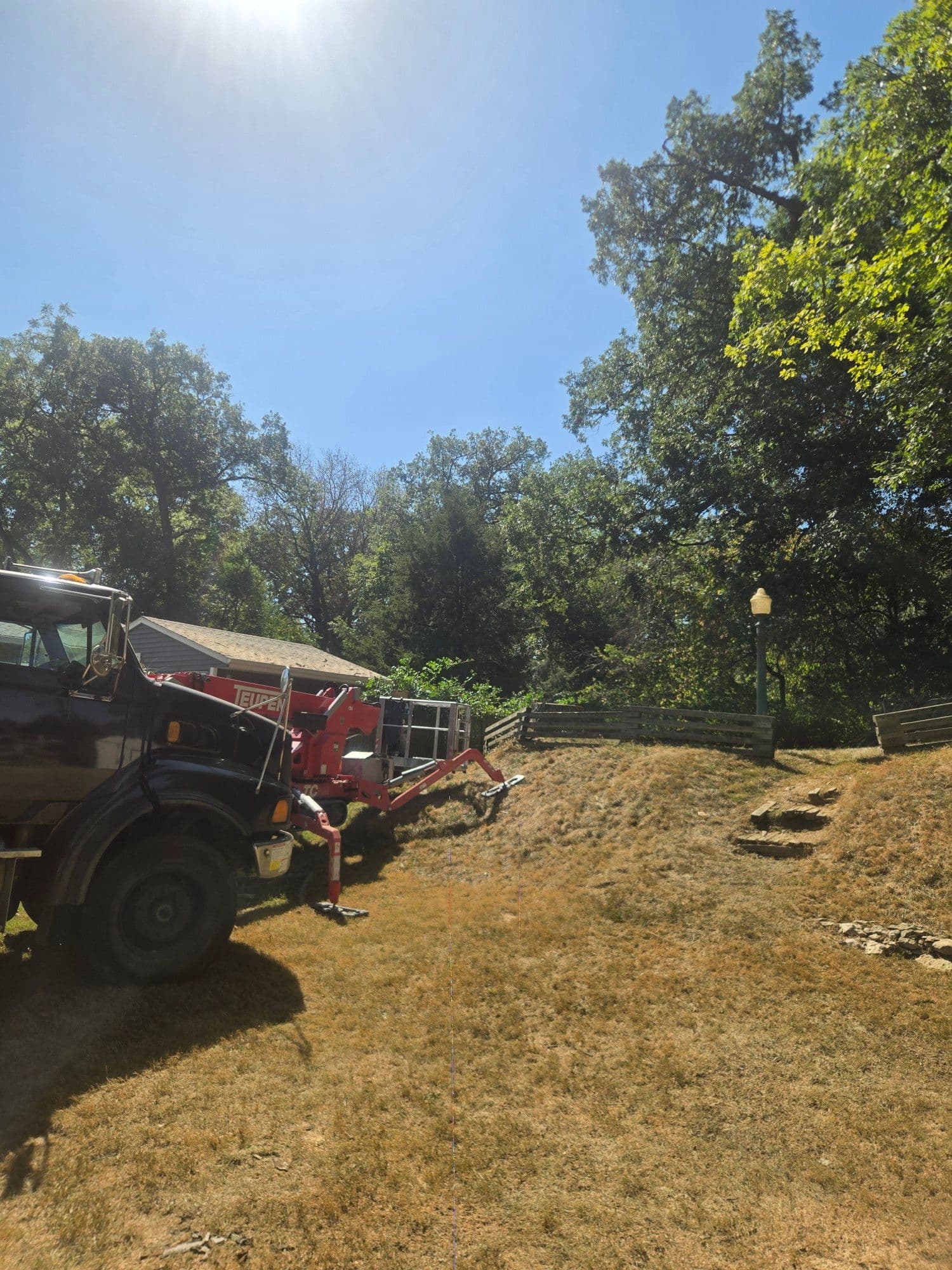 Gallery photos for Safe and Efficient Tree Removal Using Crane and Lift: Image #2