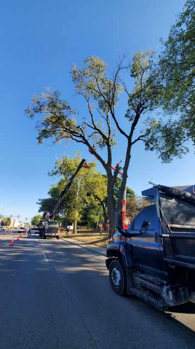 Project Ensuring Safety and Green Spaces in Knoxville image