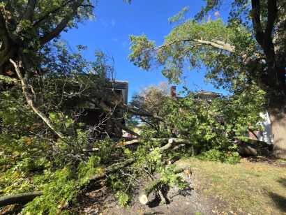Efficient Storm Damage Tree Cleanup