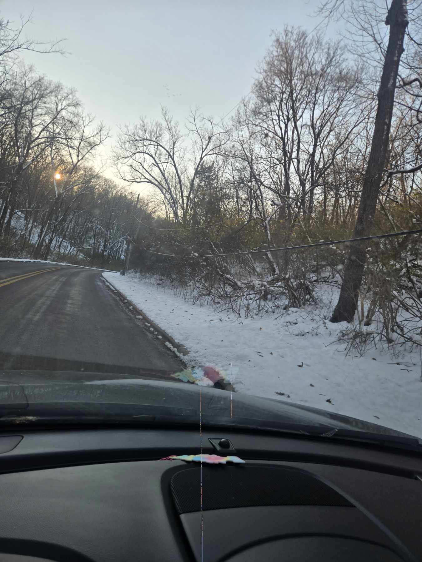 Project Cable Line Clearing for Winter Safety image