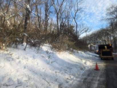 Gallery photos for Cable Line Clearing for Winter Safety: Image #1