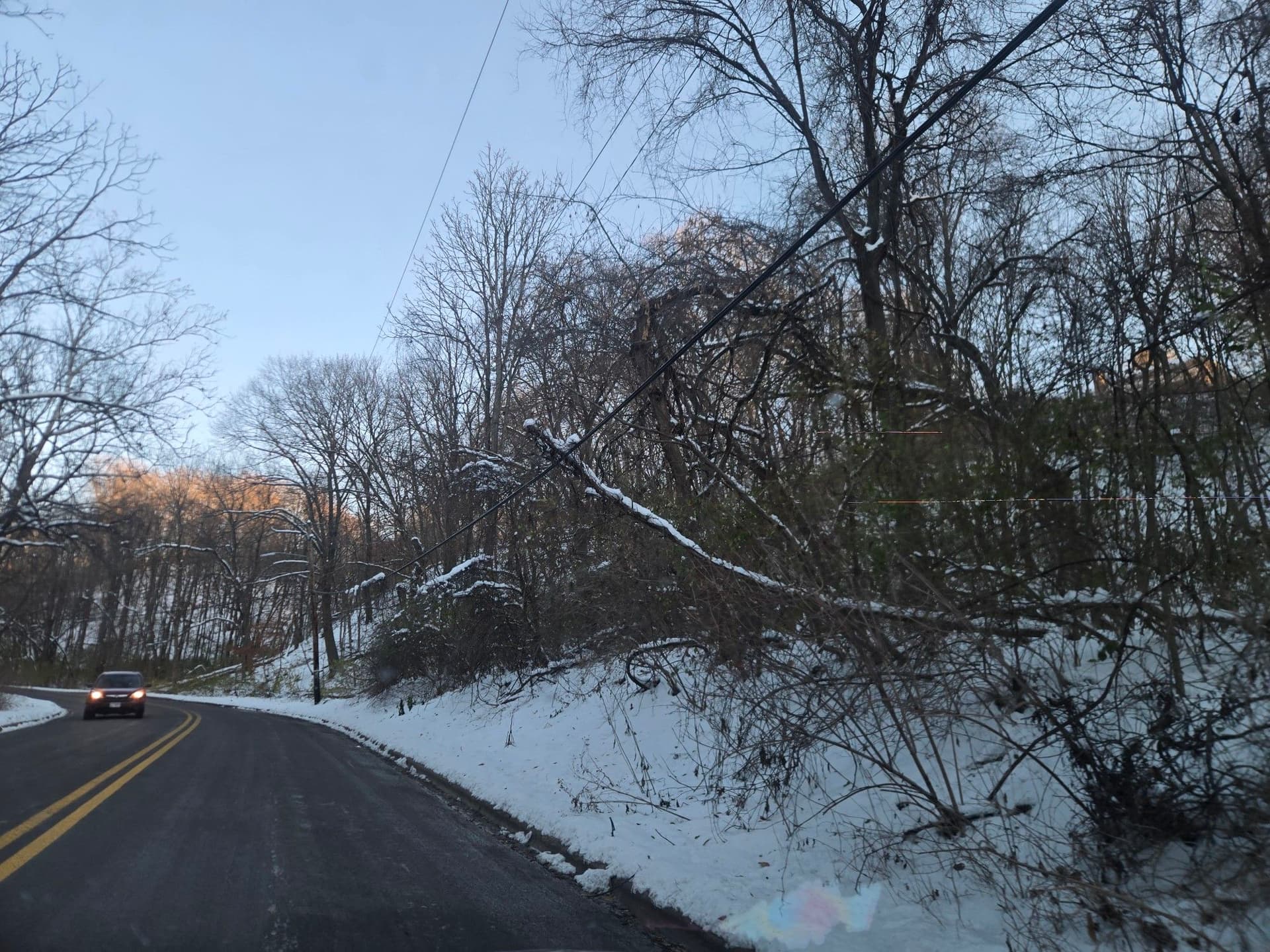 Gallery photos for Cable Line Clearing for Winter Safety: Image #2