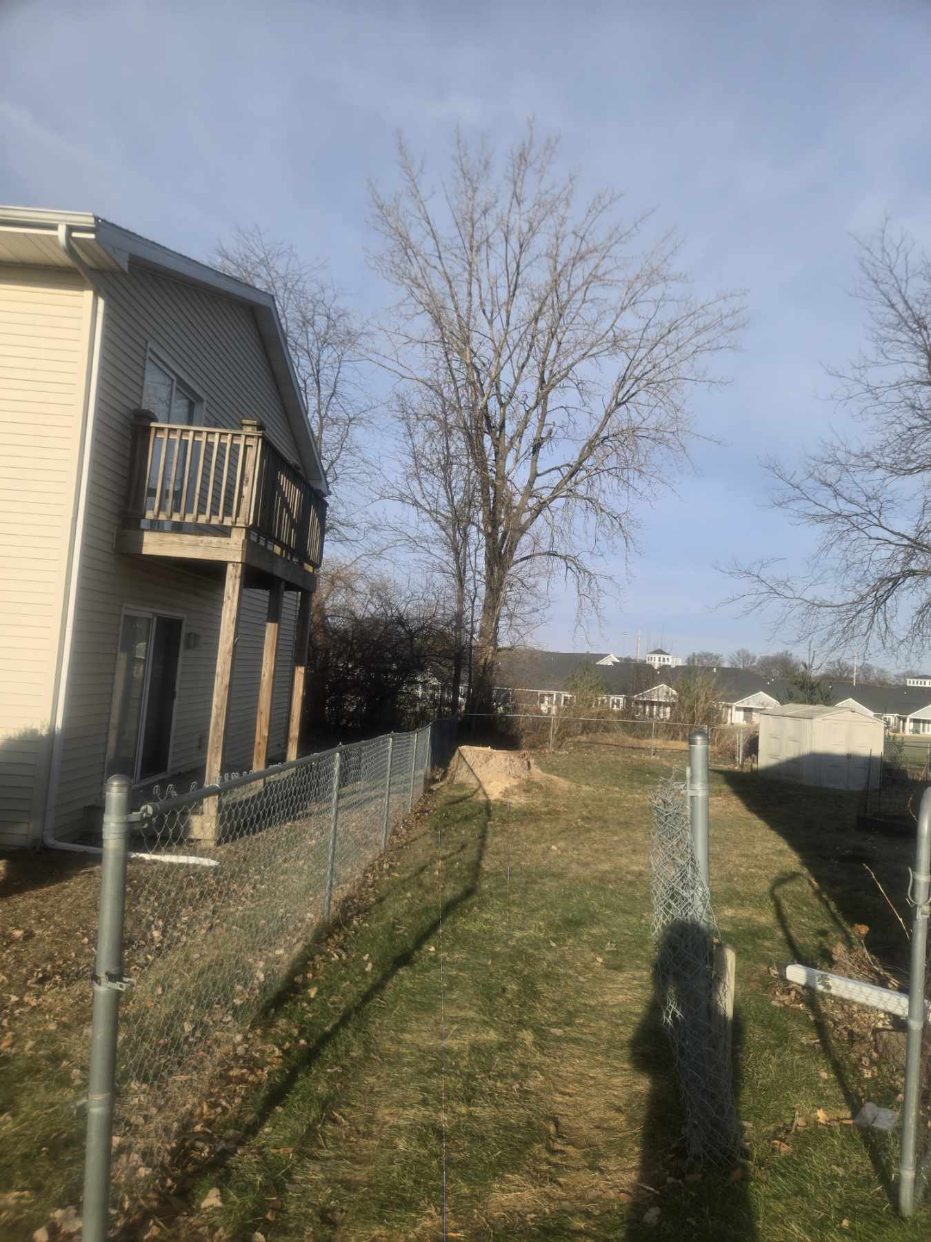 Project Safe Removal of Cottonwood Tree for Winter Prep image