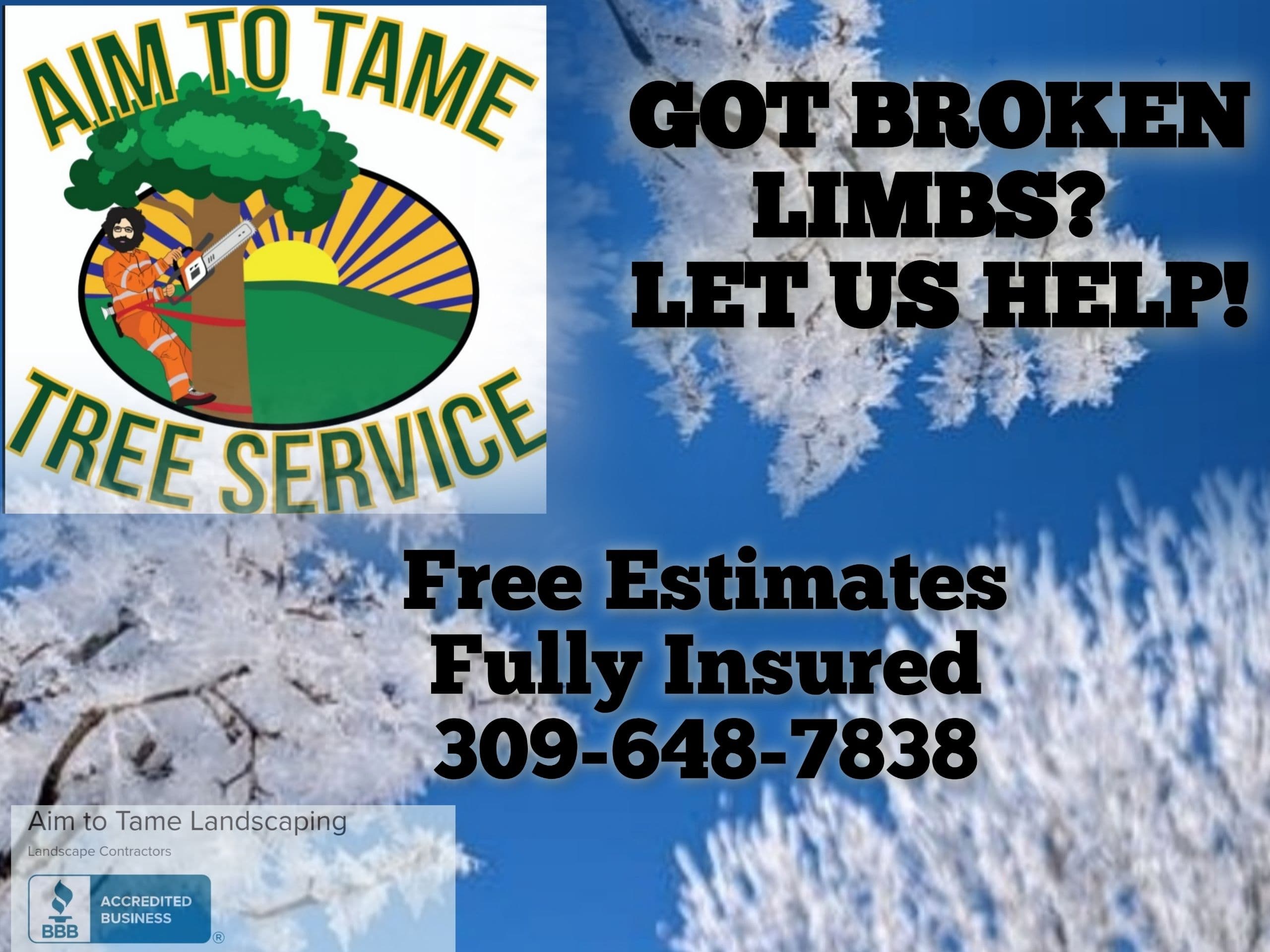 Project Dealing with Fallen Branches with Aim To Tame Tree Service image