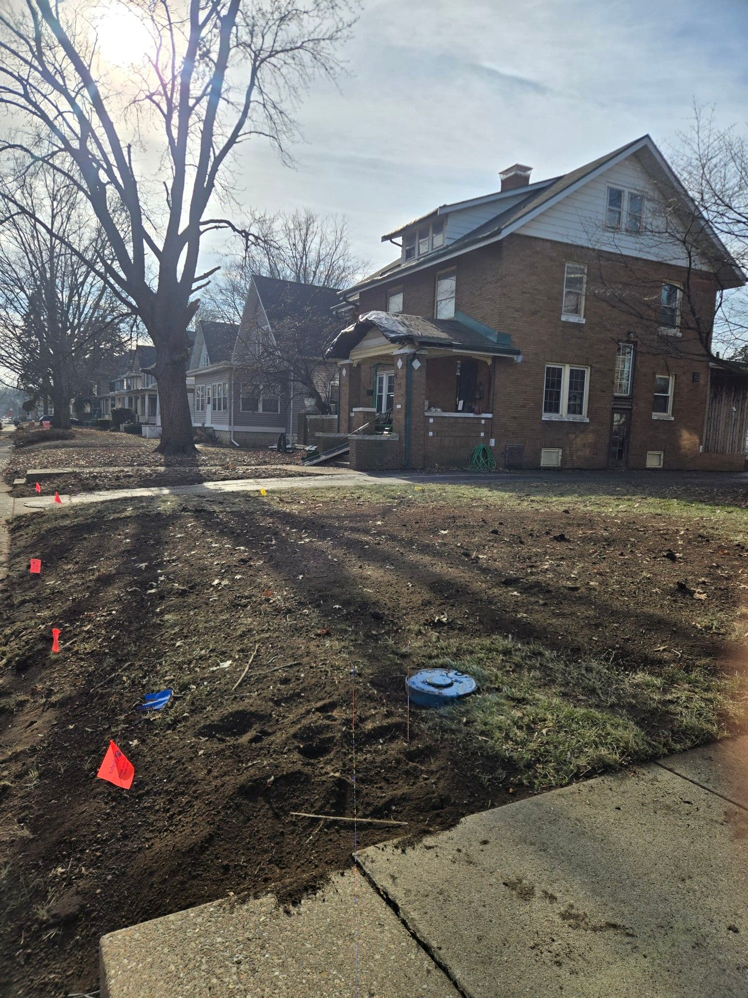 Gallery photos for Stump Cleared for a Fresh Start in the Neighborhood: Image #1