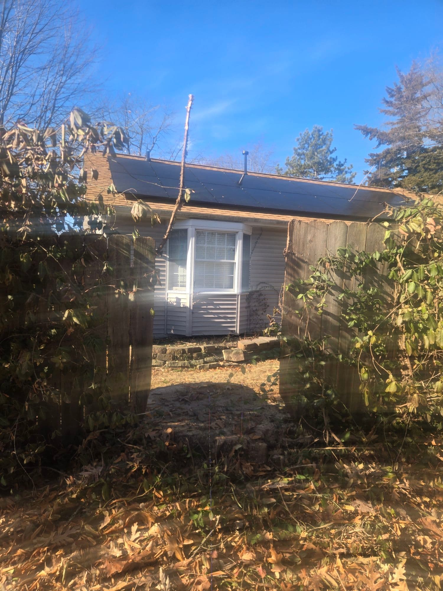 Tree Removal for a Sunlit Solar Yard image