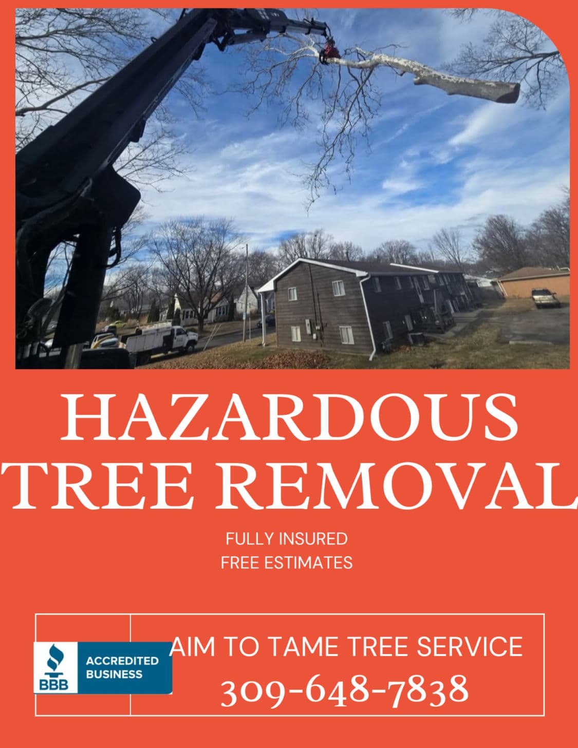 Project Hazardous Tree Removal Done Right and Done Safely image