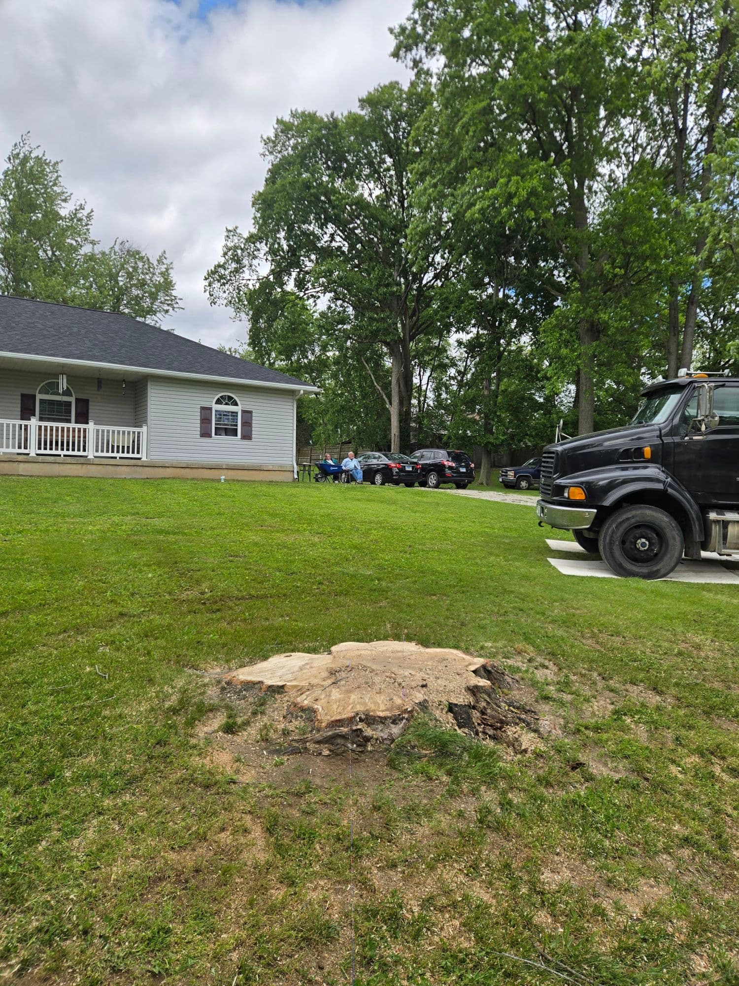 Crane-Assisted Tree Removal for Sunny Yards image