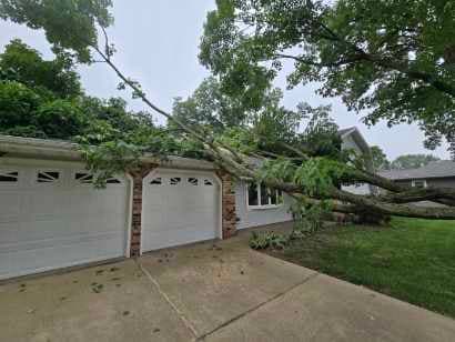 Gallery photos for Swift Tree Removal Solution to Protect Homes: Image #2
