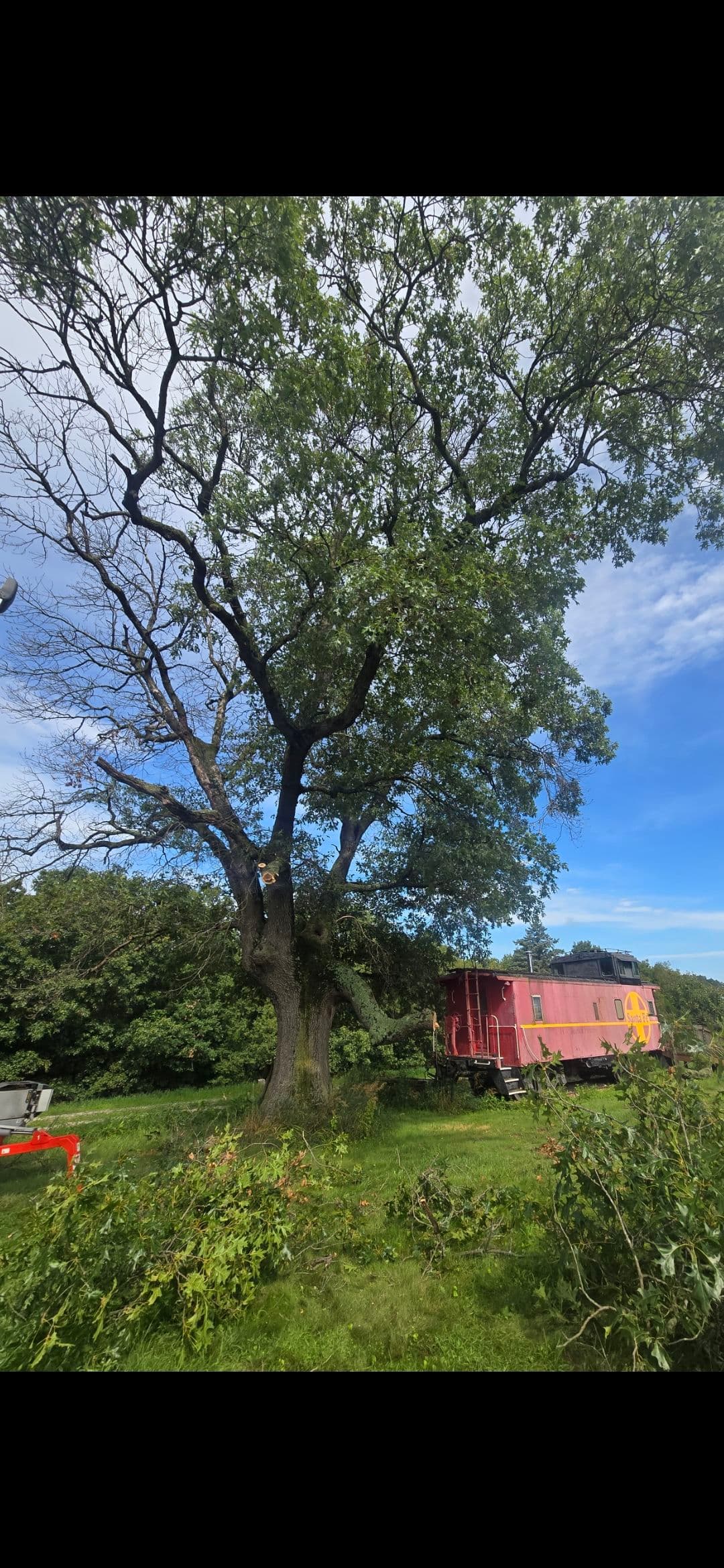 Gallery photos for Safely Clearing Space at Scott's Prairie Home: Image #1