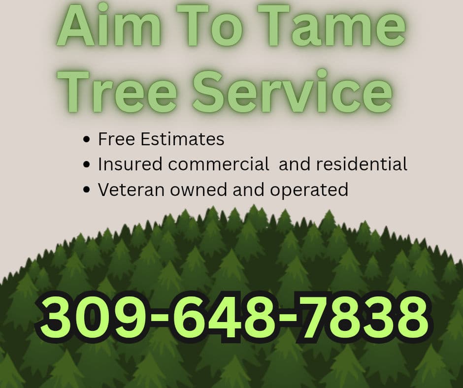 Trustworthy Tree Care Services in Your Area image