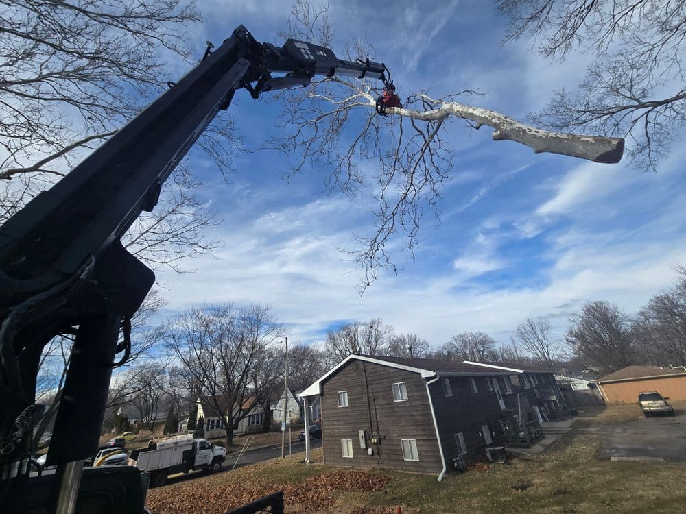 Tree trimming with crane equipment over apartments under a blue sky.