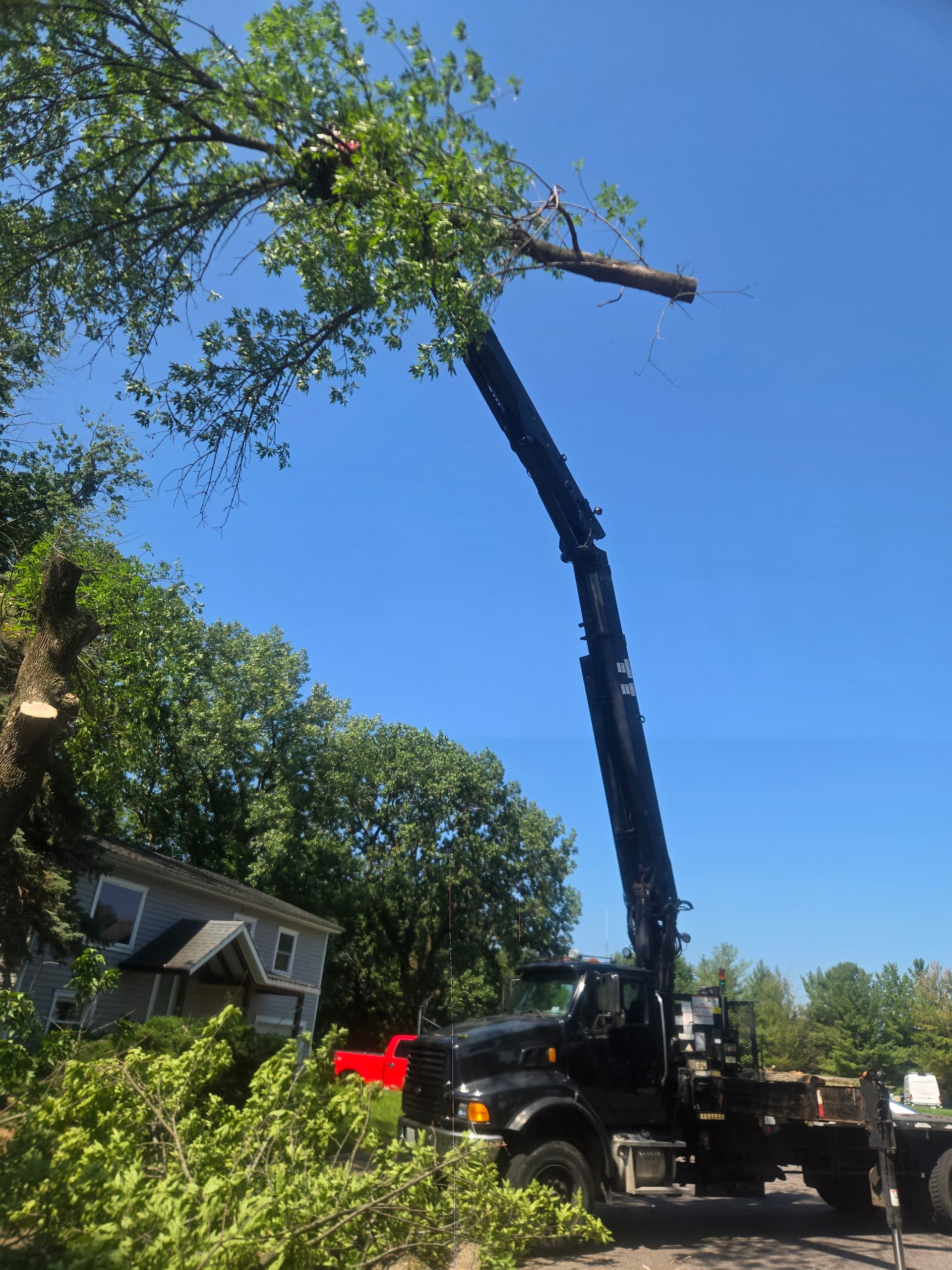 Gallery photos for Dead Ash Tree Removed Safely Using Crane and Lift: Image #1
