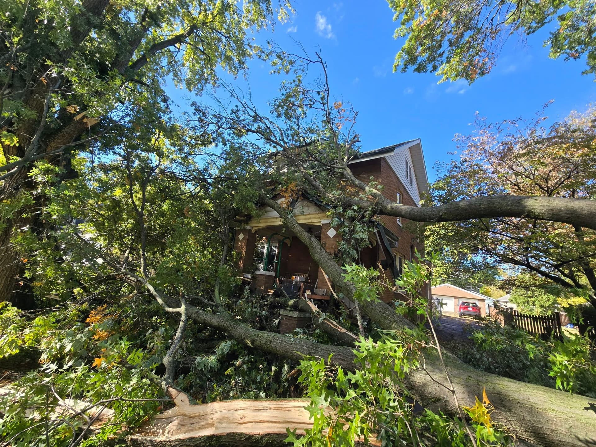 Gallery photos for Efficient Storm Damage Tree Cleanup: Image #3