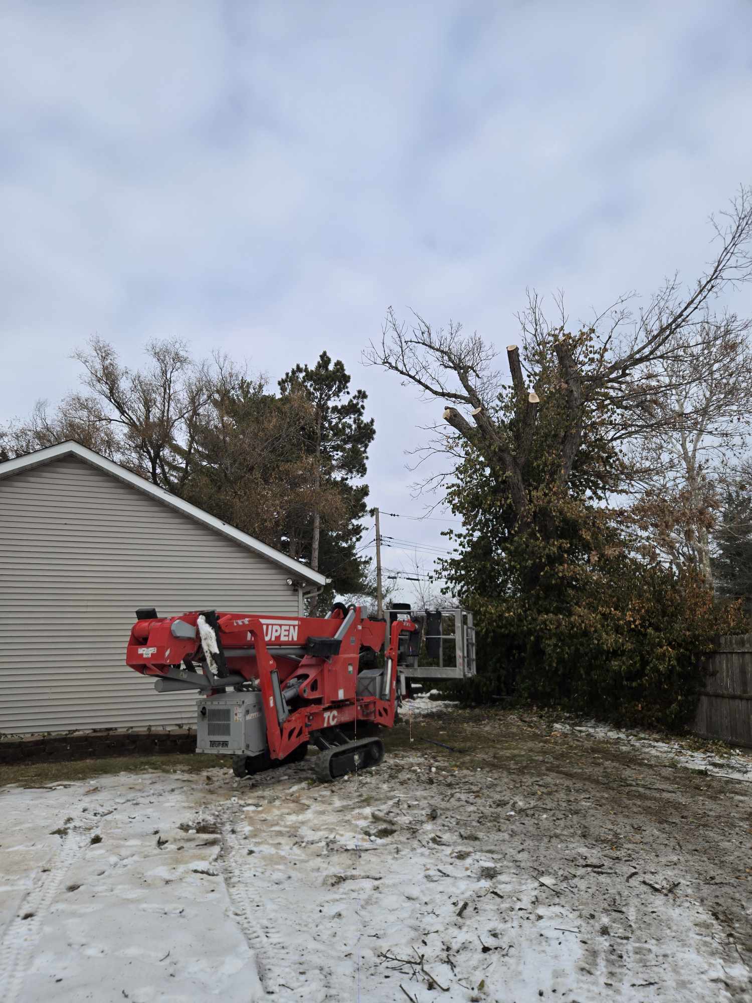 Winter Tree Trimming for Optimal Solar Panel Efficiency image