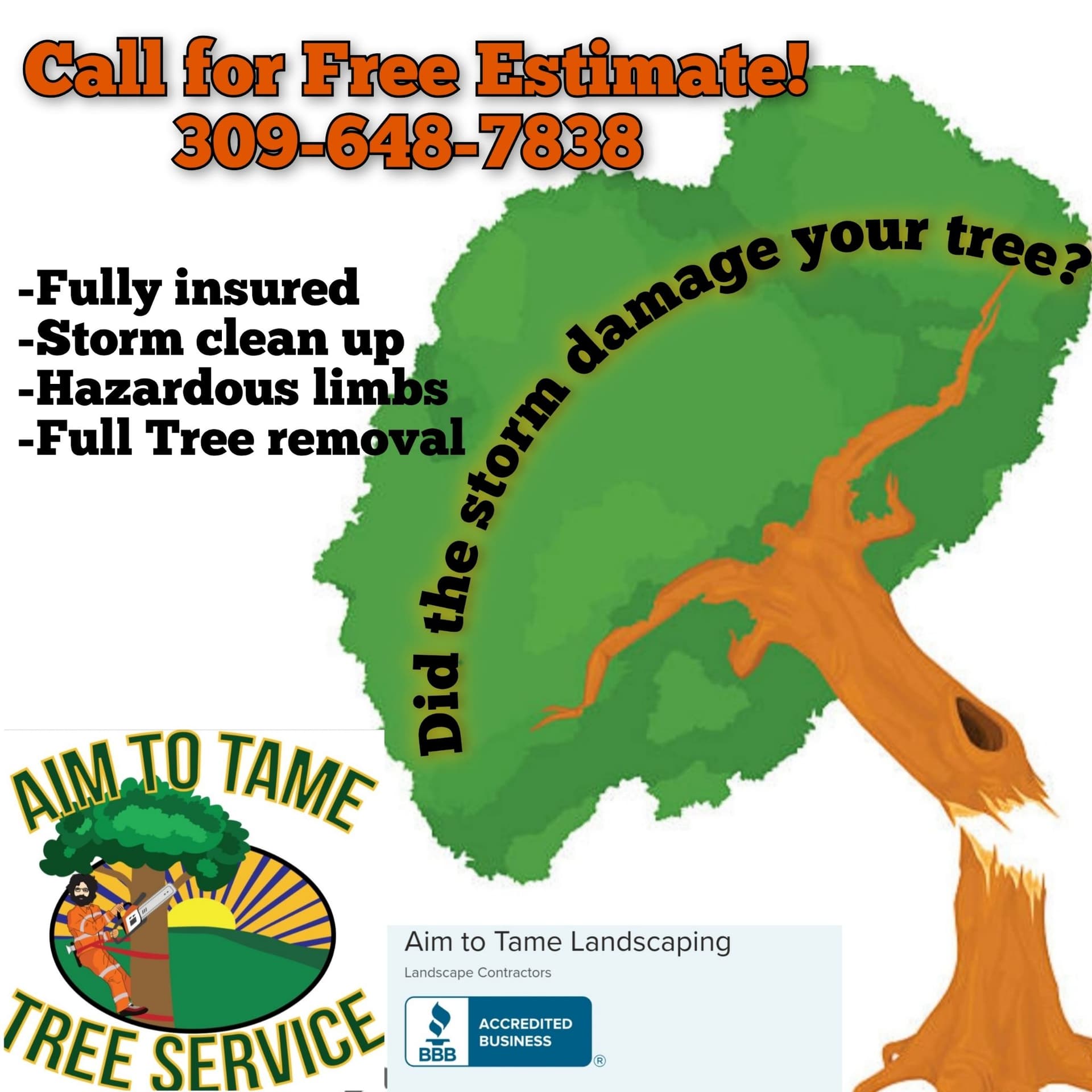 Storm Cleanup and Hazardous Limb Care by Aim To Tame Tree Service image