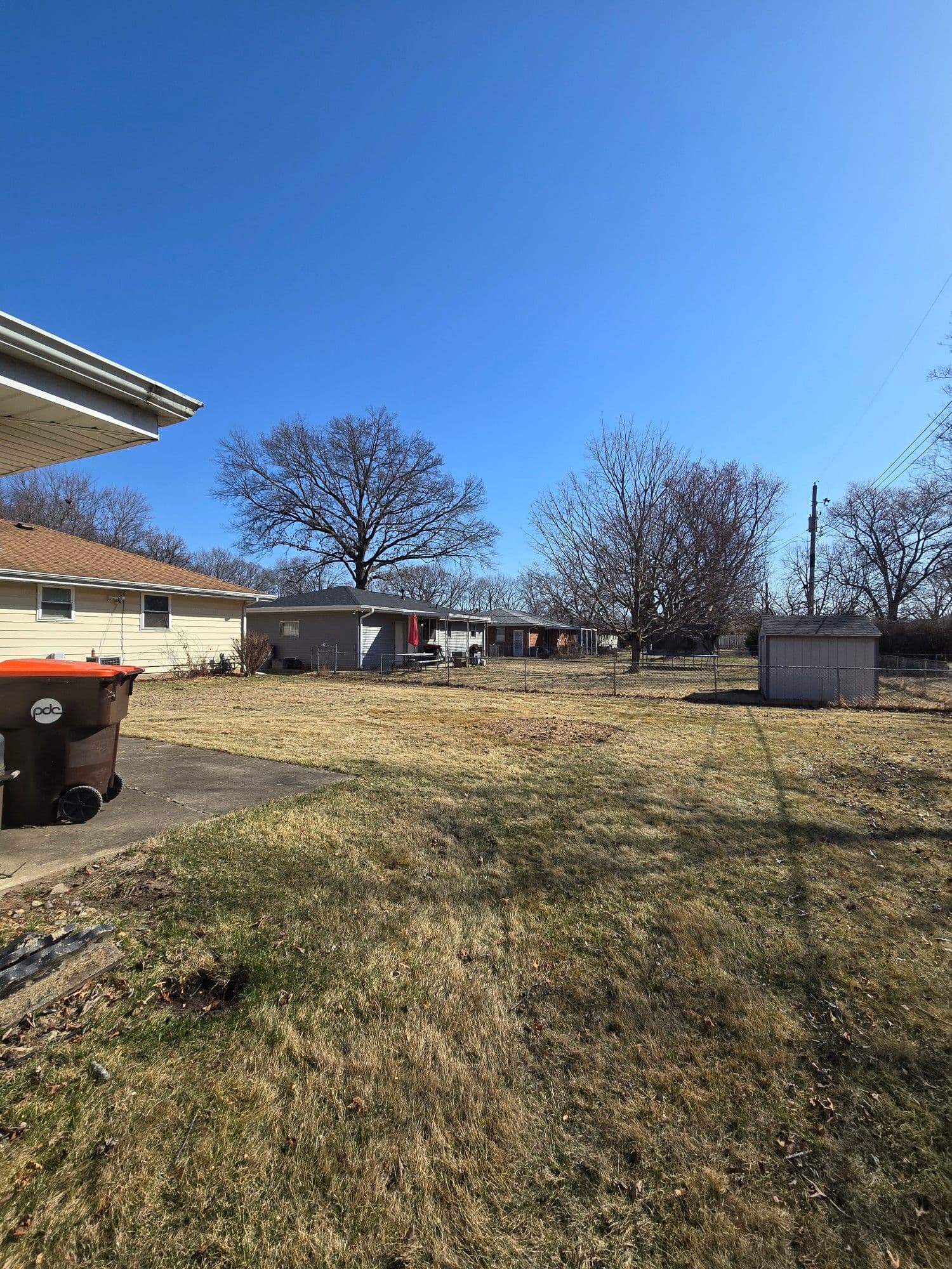 Gallery photos for Expert Tree Removal in a Peaceful Backyard: Image #1